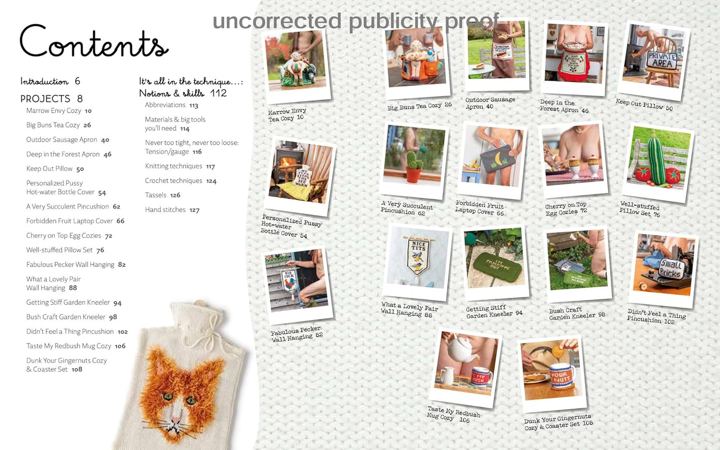 Nudinits at Home: 19 naughty knitting patterns for home accessories