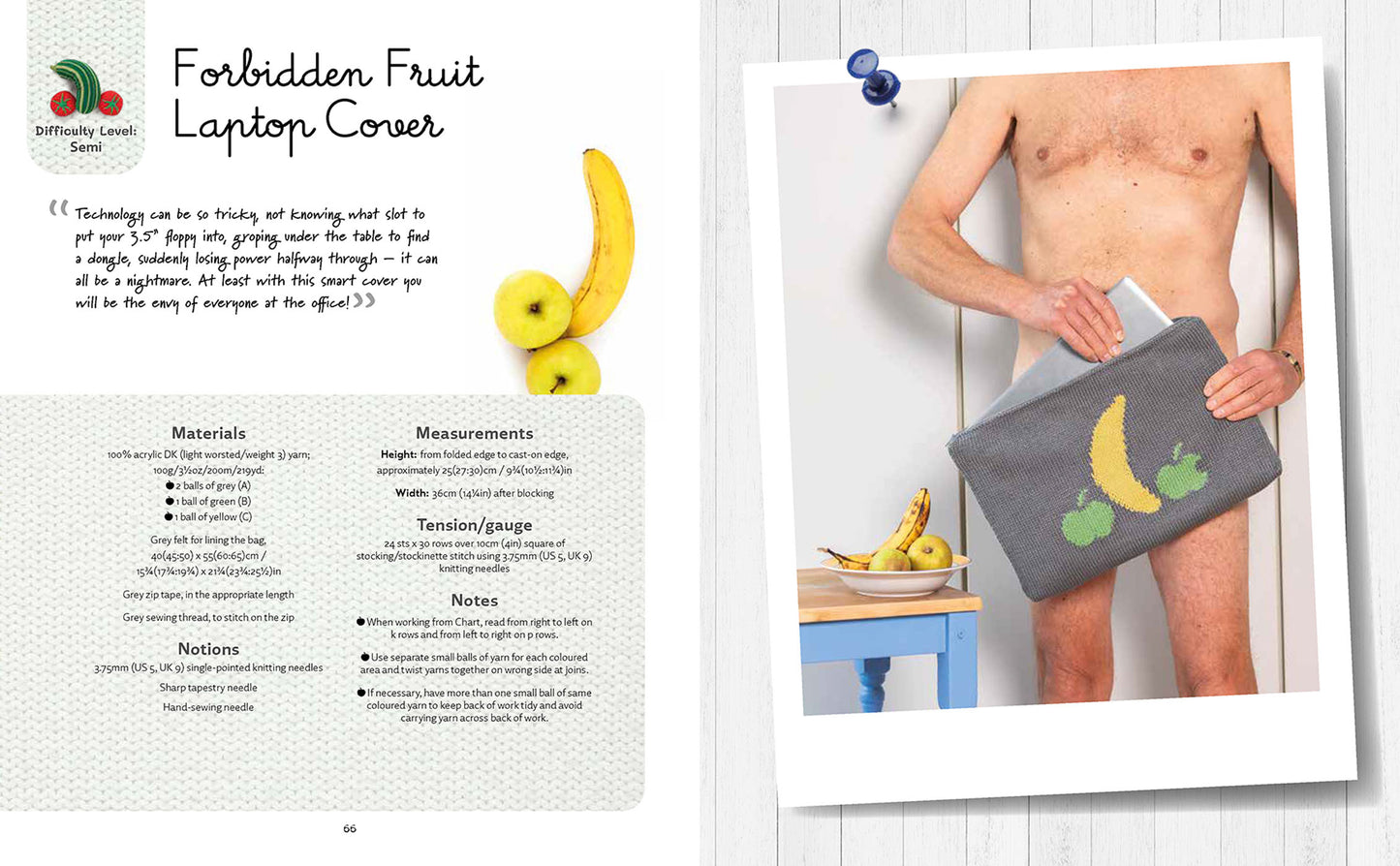 Nudinits at Home: 19 naughty knitting patterns for home accessories