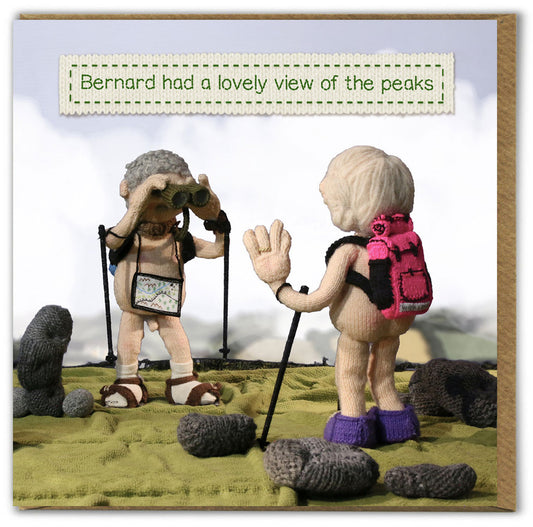 Card - Bernard Had A Lovely View Of The Peaks
